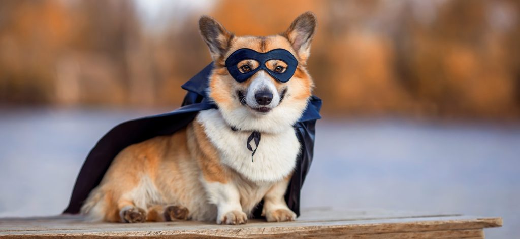 Toughen up buttercup!